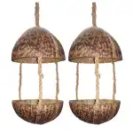 Coconut Bird Feeder